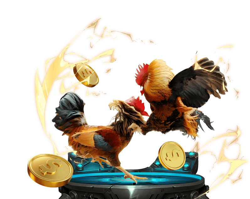 Cá cược bóng đá và các môn thể thao tại One88